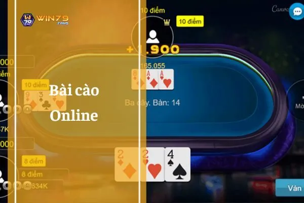 bai-cao-online